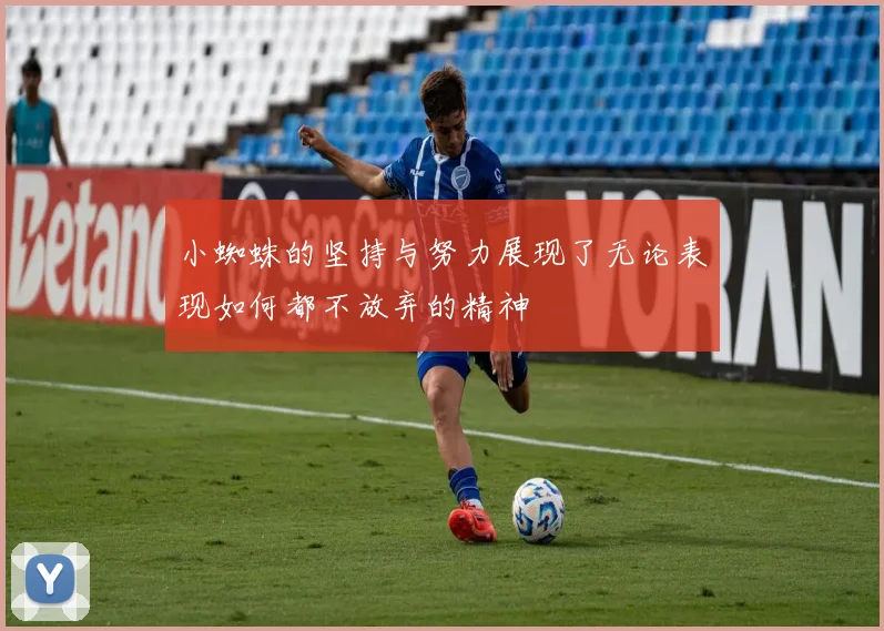 小蜘蛛的坚持与努力展现了无论表现如何都不放弃的精神