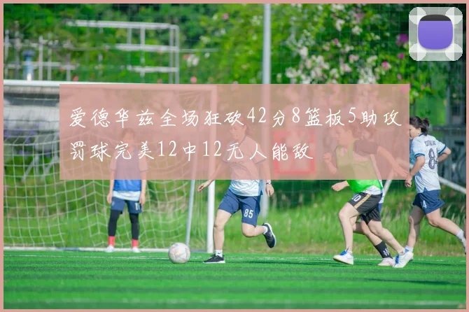 爱德华兹全场狂砍42分8篮板5助攻罚球完美12中12无人能敌