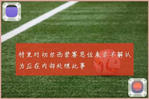 特里对切尔西禁赛恩佐表示不解认为应在内部处理此事